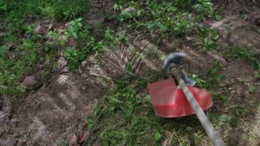 4k Çözünürlük Tarım Konsepti. Bahçedeki çimleri biçen çiftçiler.