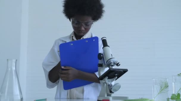 Koncepcja Edukacji Rozdzielczości Studenci Przeprowadzają Eksperymenty Roślinne Laboratorium — Wideo stockowe
