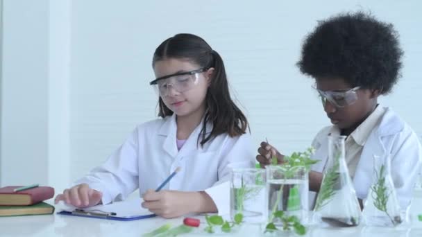 Education Concept Resolution Young Students Experimenting Knowledge Science — Stock Video