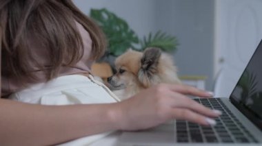 Tatil konsepti 4k Çözünürlük. Köpek yatak odasında sahibine sarılıyor..