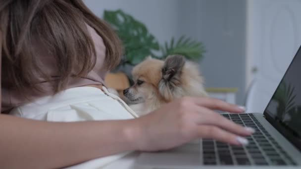 Urlaubskonzept Der Auflösung Der Hund Kuschelt Mit Dem Besitzer Schlafzimmer — Stockvideo