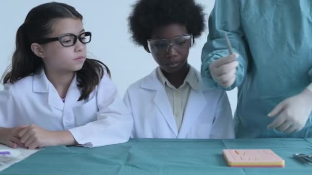 Eğitim Konsepti Kararlılık Tıp Fakültesi Öğrencileri Sınıfta Dikiş Pratiği Yapıyor — Stok video