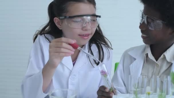 Vzdělávací Koncept Resolution Mladí Studenti Experimentují Znalostmi Vědy — Stock video