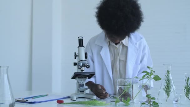 Concepto Educativo Resolución Los Estudiantes Están Haciendo Experimentos Plantas Laboratorio — Vídeo de stock