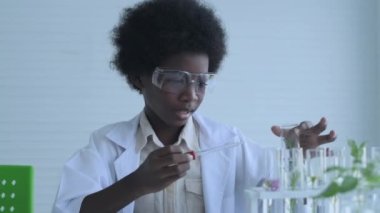 Eğitim konsepti 4k Kararlılık. Öğrenciler bitkilerle ilgili deneyleri açıklıyorlar. Test örneğine solüsyon bırakılıyor.