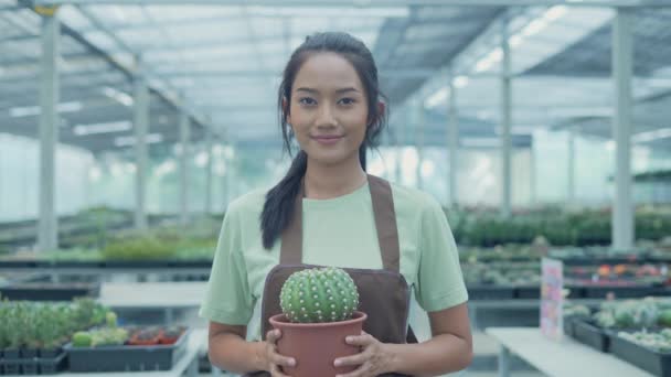 Obchodní Koncept Rozlišení Asijka Držící Kaktus Zahradě Prezentace Produktu Dodání — Stock video