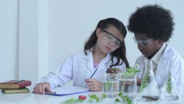 Concept Éducation Résolution Les Jeunes Étudiants Expérimentent Avec Connaissance Science — Video