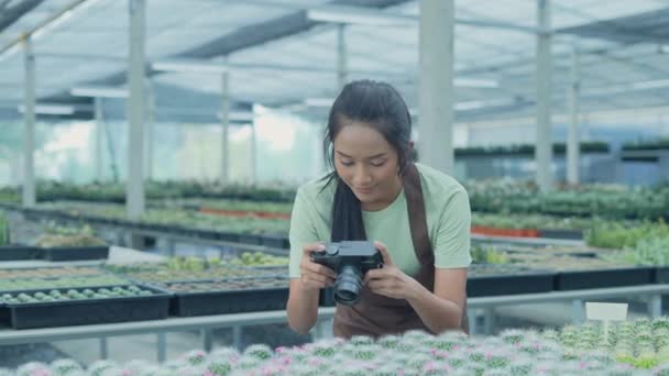 Concepto Negocio Resolución Mujer Asiática Tomando Fotos Cactus Jardín Usando — Vídeo de stock