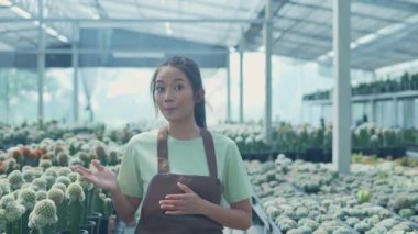 4k Kararlılığın iş konsepti. Asyalı kadınlar dükkanda kaktüs tanıtıyorlar. ağaç türleri.