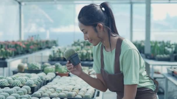 4K解析度的业务概念 亚洲女人在商店里检查仙人掌 产品选择 树木苗圃 — 图库视频影像