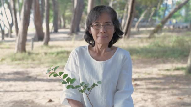 Conceito Conservação Resolução Mulheres Asiáticas Estão Apresentando Para Plantar Florestas — Vídeo de Stock