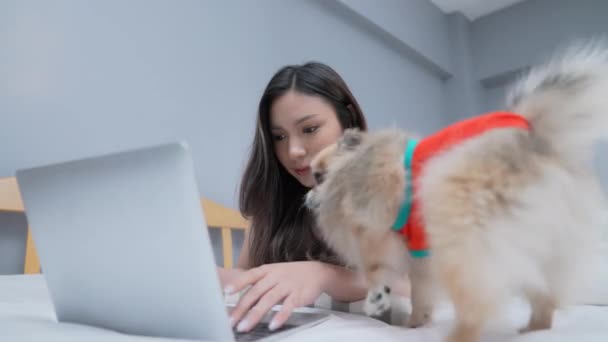 Conceito Férias Resolução Meninas Asiáticas Trabalhando Com Computadores Quarto — Vídeo de Stock