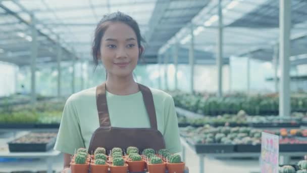Business Concept Resolution Asian Woman Moving Cactus Garden Shelf Replenishment — Stock Video