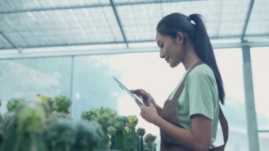 4k Kararlılığın iş konsepti. Asyalı kadın kaktüs dükkanında tabletle ürünleri kontrol ediyor. Çevrimiçi ağaç satmak.