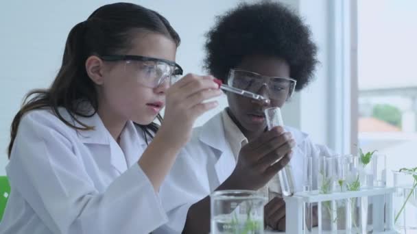 Vzdělávací Koncept Resolution Mladí Studenti Experimentují Znalostmi Vědy — Stock video