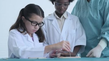 Eğitim konsepti 4k Kararlılık. Tıp fakültesi öğrencileri sınıfta dikiş pratiği yapıyor. Stajyer doktor. eğitim simülasyonu.