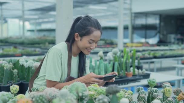 Concepto Negocio Resolución Mujer Asiática Tomando Fotos Cactus Jardín Venta — Vídeos de Stock