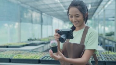 4k Kararlılığın iş konsepti. Bahçede kaktüs fotoğrafı çeken Asyalı kadın. bir dijital kamera kullanarak.