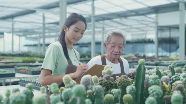 Concepto Negocio Resolución Anciana Asiática Revisando Cactus Tienda Colaboración Familiar — Vídeo de stock