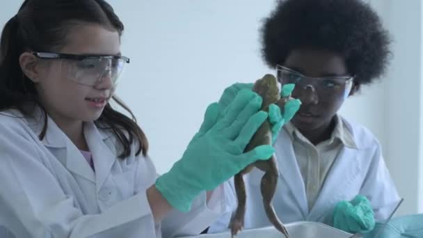 Concepto Educativo Resolución Escolares Que Toman Clases Ciencias Laboratorio Biological — Vídeo de stock