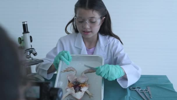 Concetto Educativo Risoluzione Una Ragazza Spiega Esperimento Laboratorio Studio Degli — Video Stock