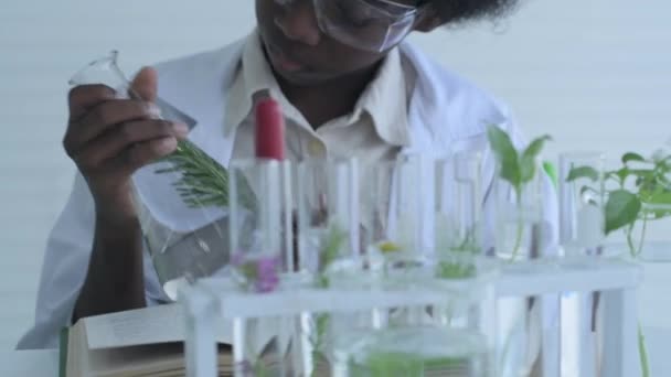 4K分辨率的教育概念 学生们正在实验室里做植物实验 — 图库视频影像
