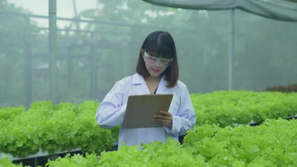 Concepto Agrícola Resolución Los Investigadores Están Investigando Crecimiento Plantas Invernaderos — Vídeo de stock