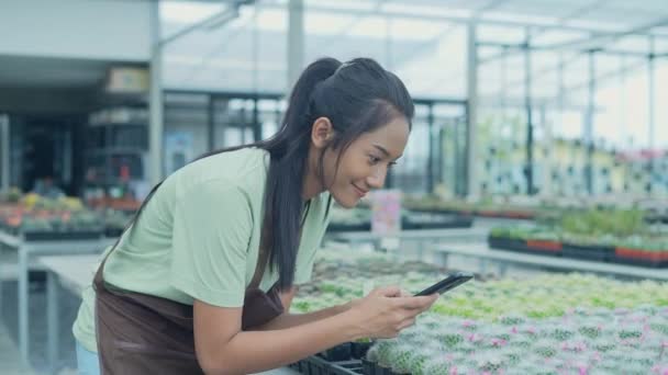 Concepto Negocio Resolución Mujer Asiática Tomando Fotos Cactus Jardín Venta — Vídeos de Stock