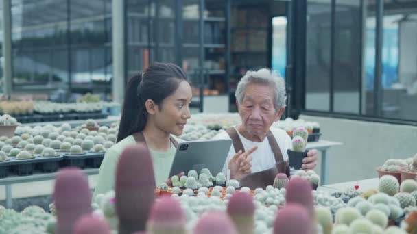 Business Concept Resolution Asian Woman Picking Cactus Shop Shop Owner — Stock Video