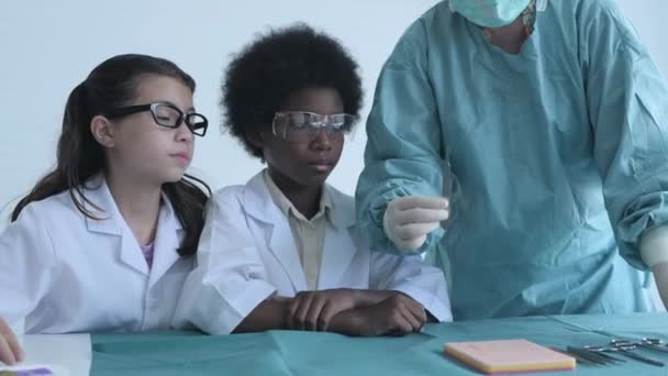 Concept Éducation Résolution Étudiants Médecine Pratiquant Suture Des Plaies Classe — Video