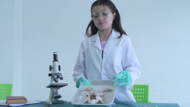 4K分辨率的教育概念 一个年轻的女孩解释了在实验室里的一个实验 青蛙内脏的研究 采访媒体 — 图库视频影像