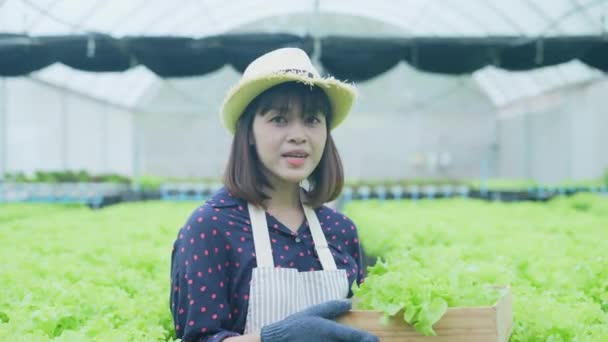 4K分解能の農業概念 有機野菜栽培について説明するアジアの女性 客を招く 農家から直接買いなさい — ストック動画