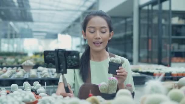 Concepto Negocio Resolución Dueño Tienda Está Vendiendo Cactus Usando Teléfono — Vídeo de stock