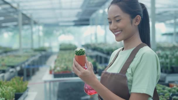 4K解析度的业务概念 亚洲女人在商店里检查仙人掌 浇灌植物 树木苗圃 — 图库视频影像