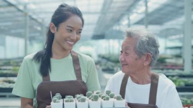 4k Kararlılığın iş konsepti. Bahçede kaktüs tutan Asyalı kadın. ürün sunumu. Müşterilere dağıtım.