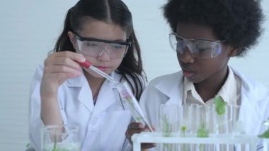 Eğitim konsepti 4k Kararlılık. Genç öğrenciler bilim bilgisiyle deney yapıyorlar. Laboratuvarda birlikte çalışıyoruz..