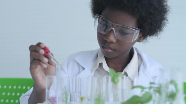 Vzdělávací Koncept Resolution Studenti Dělají Rostlinné Experimenty Laboratoři — Stock video
