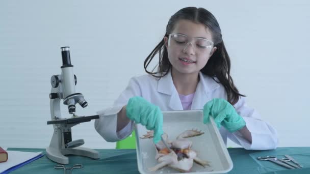 Concetto Educativo Risoluzione Una Ragazza Spiega Esperimento Laboratorio Studio Degli — Video Stock