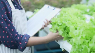 4k Çözünürlük Tarım Konsepti. İşçiler ağaçların büyümesi hakkında notlar alıyorlar. Bahçıvanın Üretim Değerlendirmesi.