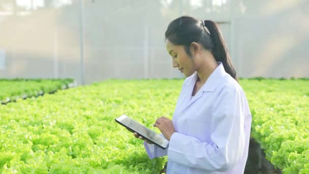 Agriculture Concept Résolution Les Chercheurs Étudient Croissance Des Plantes Serre — Video