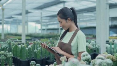 4k Kararlılığın iş konsepti. Asyalı kadın kaktüs dükkanında tabletle ürünleri kontrol ediyor. Çevrimiçi ağaç satmak.