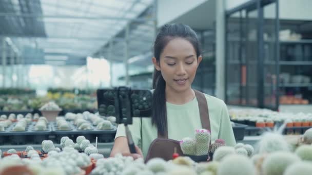 Bedrijfsconcept Van Resolution Winkeleigenaar Verkoopt Cactus Met Een Mobiele Telefoon — Stockvideo