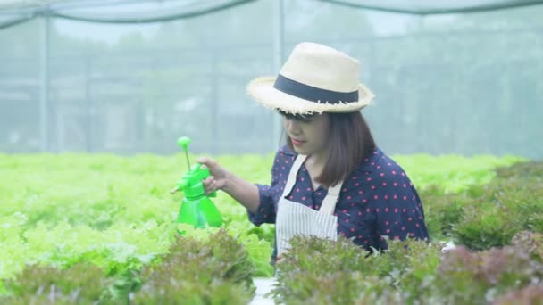 Agriculture Concept Résolution Femme Asiatique Arrosant Des Légumes Dans Une — Video