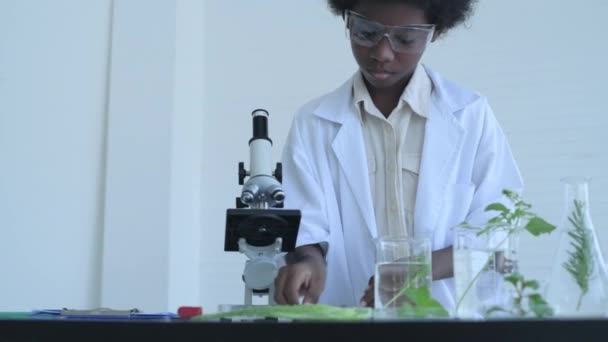 4K解像度の教育概念 学生たちは実験室で植物実験をしている 研究室での組織検査 — ストック動画