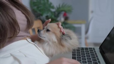 Tatil konsepti 4k Çözünürlük. Köpek yatak odasında sahibine sarılıyor..