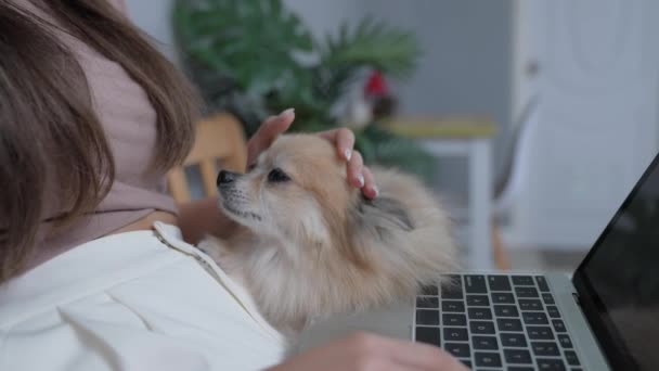 Διακοπές Έννοια Του Ψηφίσματος Σκύλος Αγκαλιάζεται Τον Ιδιοκτήτη Στην Κρεβατοκάμαρα — Αρχείο Βίντεο