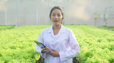 4k Çözünürlük Tarım Konsepti. Araştırmacılar seralarda sebze yetiştirmeyi tanımlıyorlar. Bitki büyüme veri toplama deneyi.