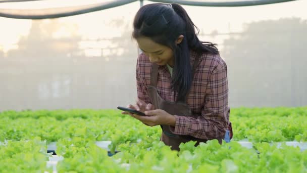 Agriculture Concept Resolution Asian Woman Using Her Phone Take Pictures — Stock Video