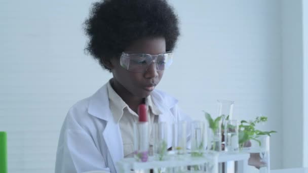 4K分辨率的教育概念 学生们正在实验室里做植物实验 — 图库视频影像