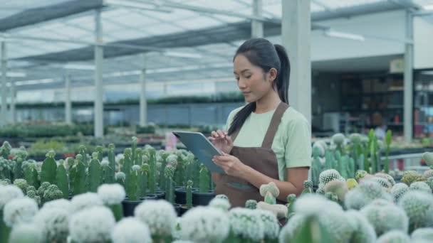 Conceito Negócio Resolução Mulher Asiática Verificando Produtos Com Tablet Loja — Vídeo de Stock